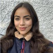 Doy clases particulares de Matemáticas aplicadas, inglés, lengua, geografía... para apoyo escolar primaria y secundaria